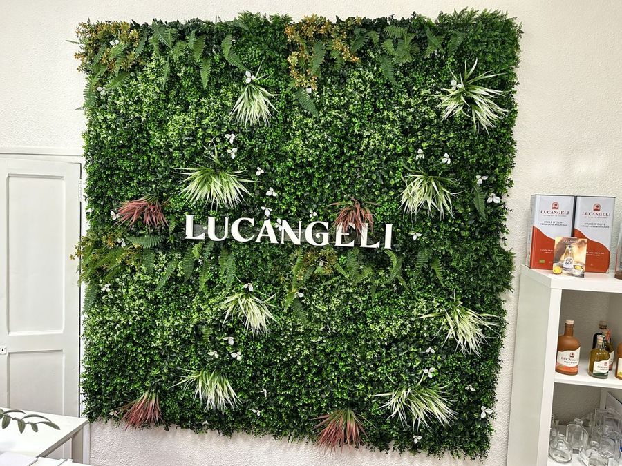 Enseignes & mur végétal — Lucangeli, Saint-Laurent-du-Var (06) | Posemasignaletique.fr